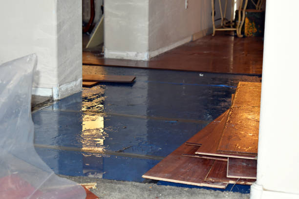 Professional Water Damage Restoration technician working in Sobieski, WI